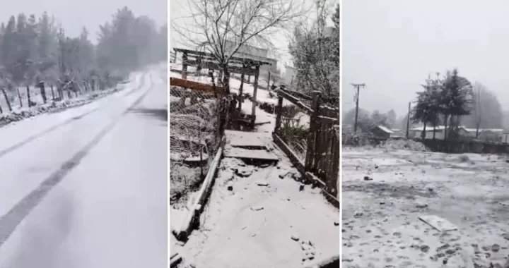 La nieve también llegó a la costa: Carahue se viste de blanco en plena ola de frío
